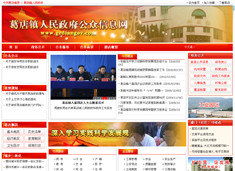 武漢市陸叁玖科技 專業(yè)網(wǎng)站建設(shè)與軟件開發(fā)服務(wù)